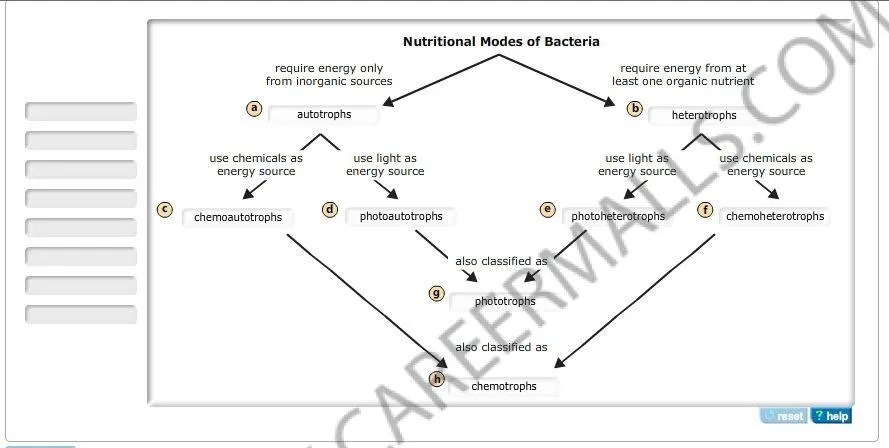 2 part b Nutritional modes of bacteria